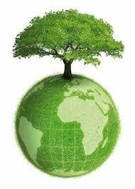 DÍA MUNDIAL DEL MEDIO AMBIENTE