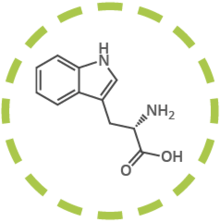 Triptófano