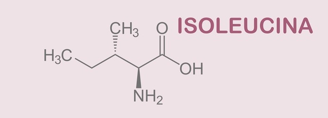 Isoleucina