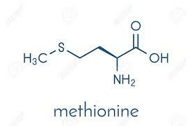Metionina