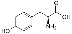 Tirosina