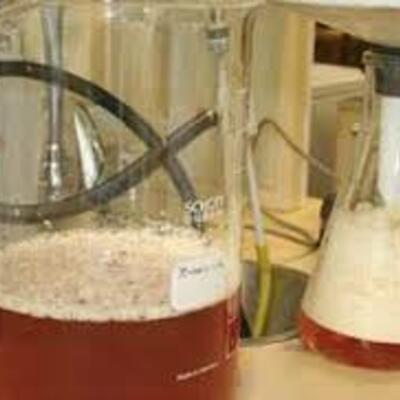 Timeline: La Fermentación