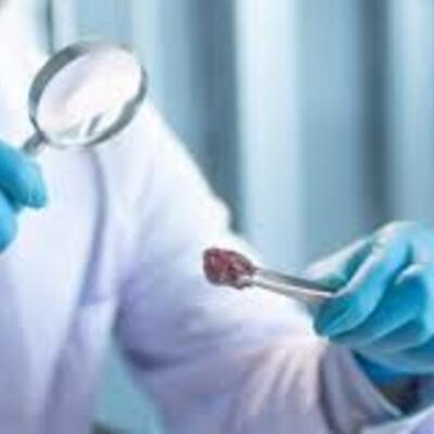 Timeline: ETICA EN LA INVESTIGACION CIENTIFICA