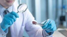 Timeline: ETICA EN LA INVESTIGACION CIENTIFICA