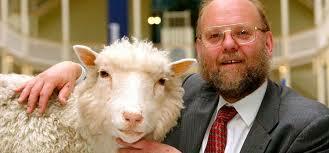 Primer animal clonado