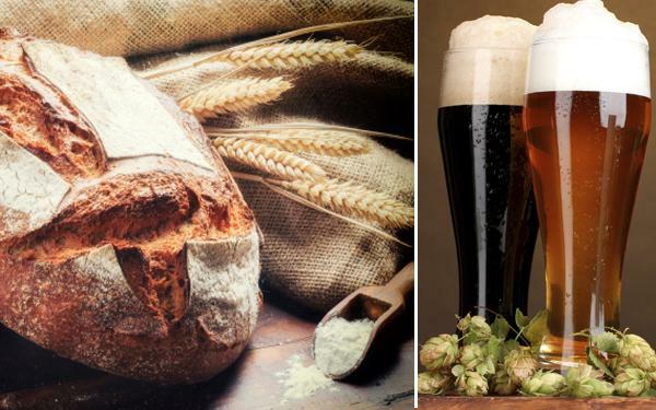 Fabricación de cerveza y pan