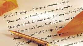 Timeline: Sonnet Song Activity Period Eight