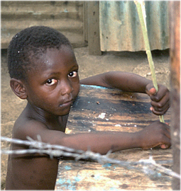 Ethical Advisory Board