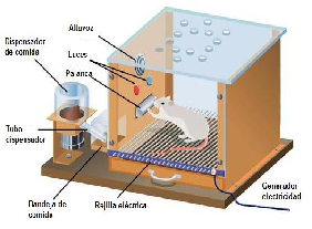 Escuela Psicológica - Condicionamiento Operante