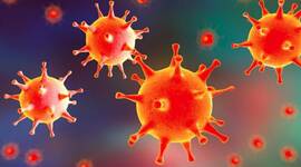 Timeline: Historia de la virología