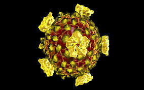 Virus de la lengua Azul