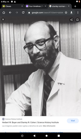 Organismo transgénico