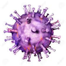 Virus de la peste porcina clásica