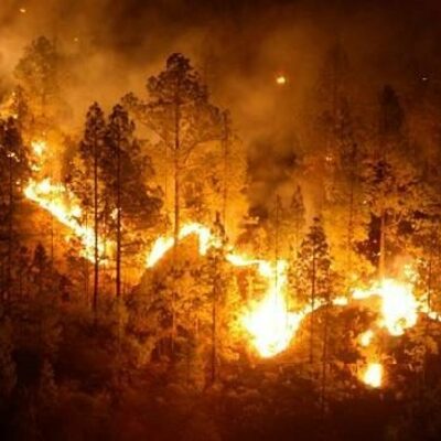 Timeline: Inicios y evolución de los planes de emergencia