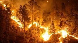 Timeline: Inicios y evolución de los planes de emergencia