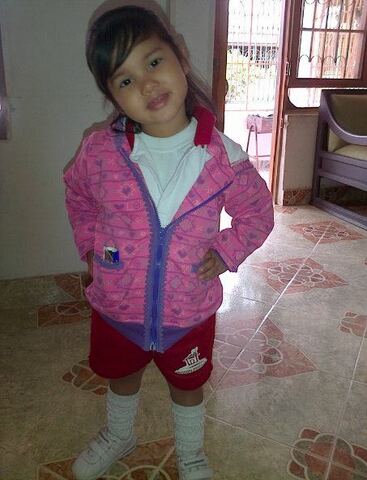 MI PRIMER DIA EN EL JARDIN