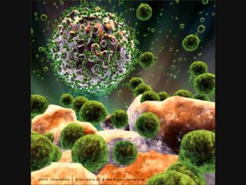 Ignaz Semmelweis y Joseph Lister aportaron pruebas indirectas de la importancia de los microorganismos en el origen de las enfermedades humanas.