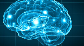 Timeline: HISTORIA DE LA NEUROPSICOLOGIA