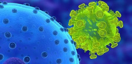 Principios de la virología. Descubrimiento del primer virus.