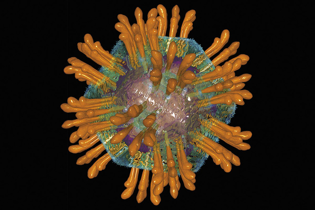 Francis Rous. Primer cáncer viral.