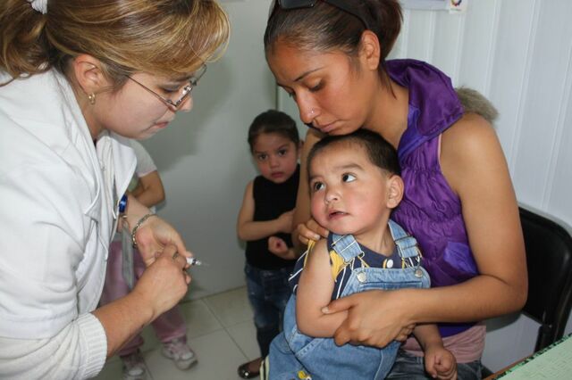 Pandemia de gripe A - H1N1