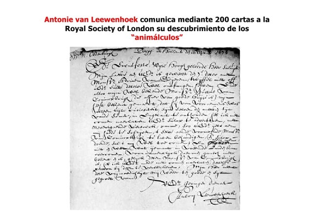 Publicación de las cartas de Leeuwenhoek a la Royal Society de Londres, detallando el descubrimiento de las bacterias.