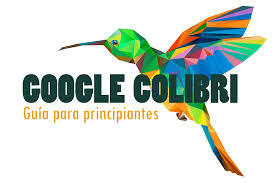 Google colibrí