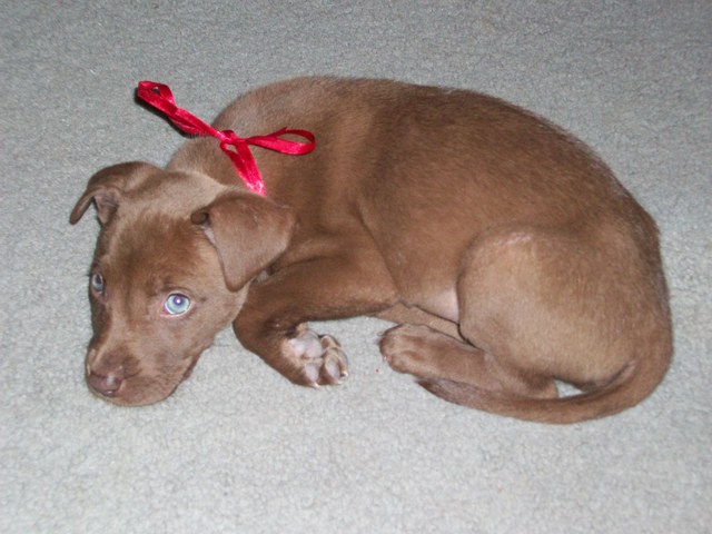 New edition to the family