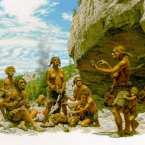 Primera contribución documentada