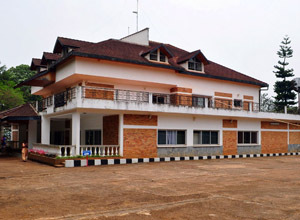 Victory at the Presidential Palace