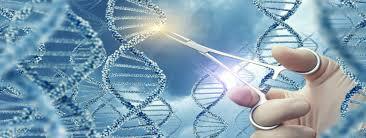 el surgimiento y la experimentación