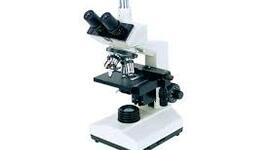 Timeline: Isaac Rodriguez_U1Act1.4