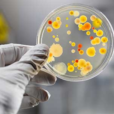 Timeline: Eventos importantes en Microbiología. Por Emeli Meza.