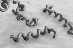 Tuskegee Syphilis Study