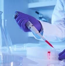 Por ley se forma el Comité Institucional de Revisión