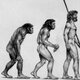 Evolucion monke