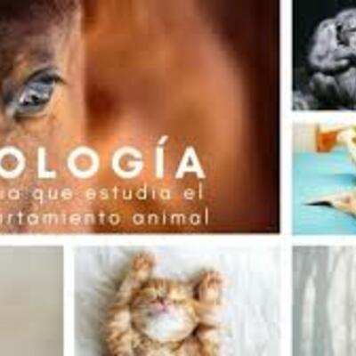 Timeline: Antecedentes Históricos de la Etología