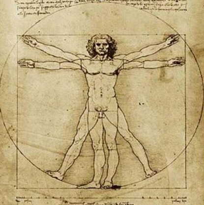 RENACIMIENTO (XV-XVI)