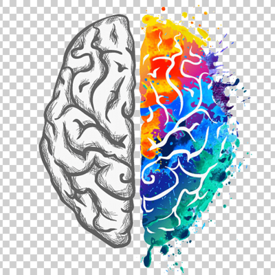 Timeline: HISTORIA DE LAS NEUROCIENCIAS DEL COMPORTAMIENTO.