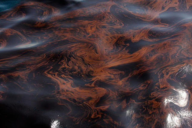 Oil Spill in the Gulf of Mexico