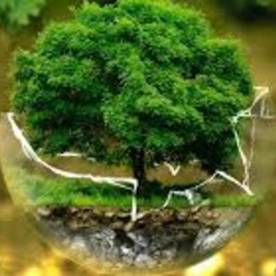 Timeline: La Educación Ambiental en Colombia