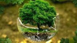 Timeline: La Educación Ambiental en Colombia