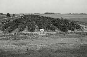 Farmers In The Great Depression