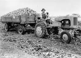 Farmers Increase in Production