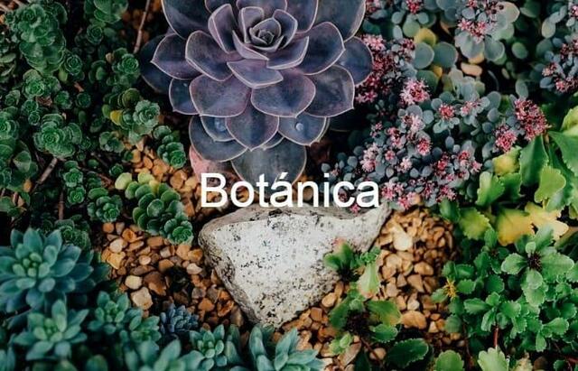 La Ecología Botánica