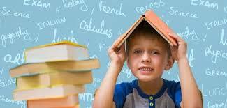 Ley 1651 de julio 12 de 2013