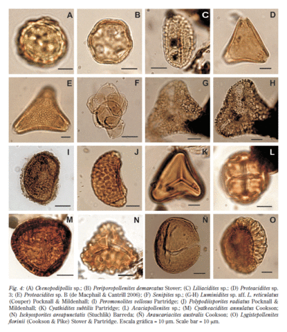 Presenta su primer descubrimiento