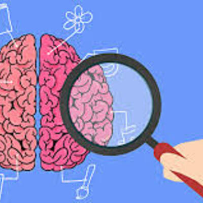 Timeline: Evolución de la neurociencia
