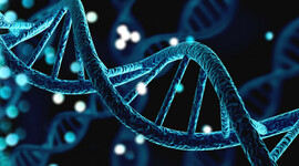 Timeline: Hitos de la Genética