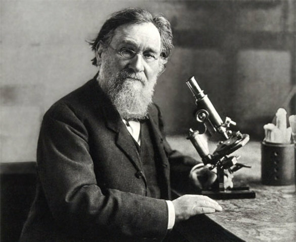 Metchnikoff